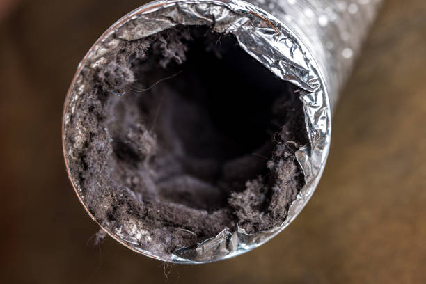Best HVAC Duct Inspection Services  in Mooresville, IN